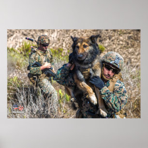 AFFICHE CHIEN DE TRAVAIL MILITAIRE AMÉRICAIN