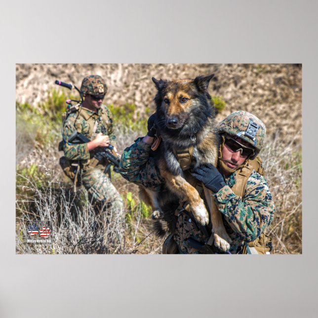 AFFICHE CHIEN DE TRAVAIL MILITAIRE AMÉRICAIN (Devant)