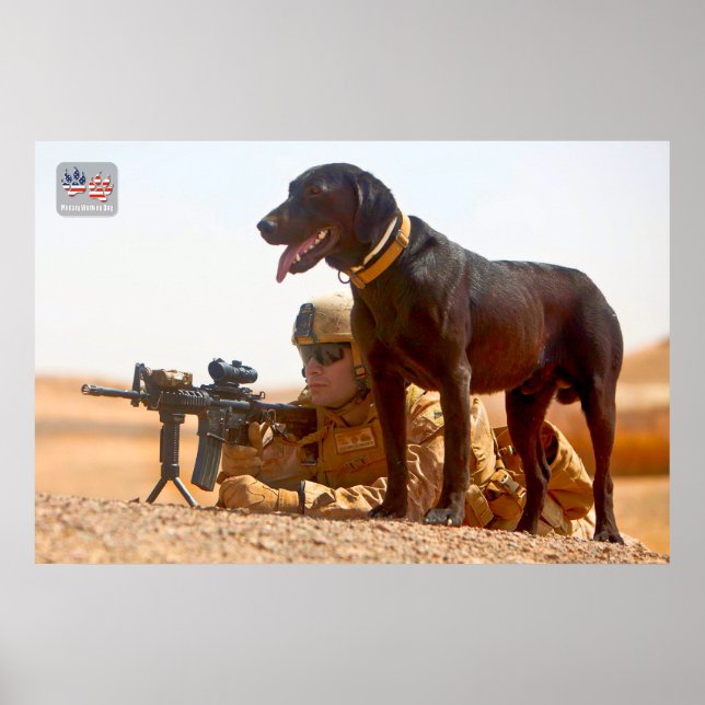 AFFICHE CHIEN DE TRAVAIL MILITAIRE AMÉRICAIN (Devant)
