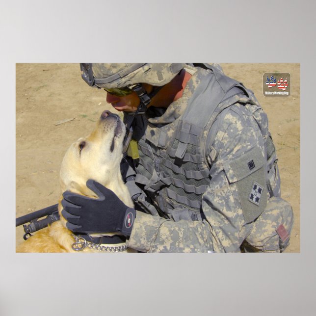 AFFICHE CHIEN DE TRAVAIL MILITAIRE AMÉRICAIN (Devant)