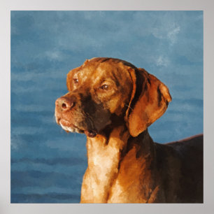 Affiche Chien de Vizsla - chien hongrois