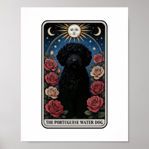 Affiche Chien d'eau portugais