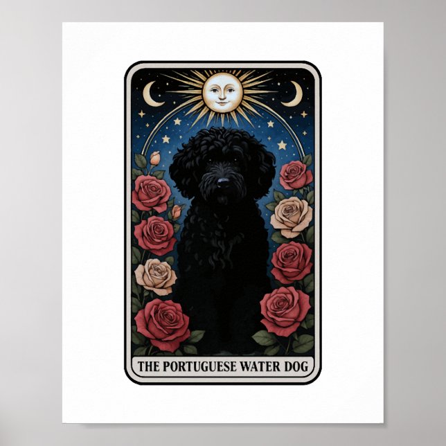 Affiche Chien d'eau portugais (Devant)