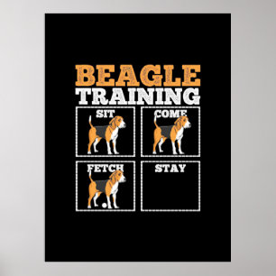 Affiche Chien d'entraînement beagle