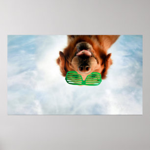 Affiche Chien des images de Getty avec des verres