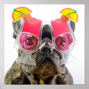 Affiche Chien des images   de Getty avec des verres de