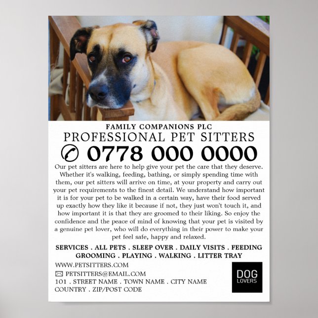 Affiche Chien détendu, Animaux de compagnie service public (Devant)