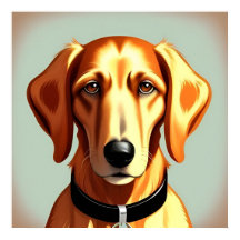 Chien d'or avec collier montrant l'étiquette d'ide