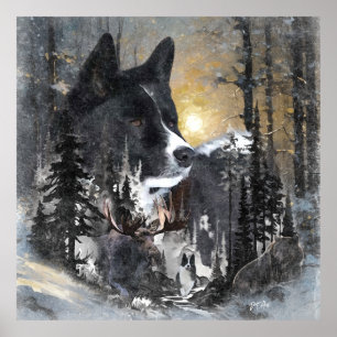 Affiche Chien d'ours karélien