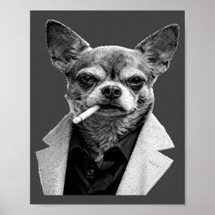Affiche Chien drôle fumant un cigare Chihuahua Meme Humour