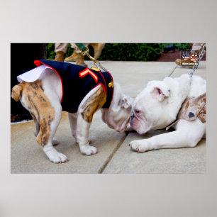 AFFICHE CHIEN DU SERVICE MILITAIRE AMÉRICAIN