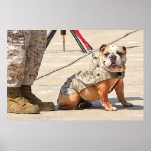 AFFICHE CHIEN DU SERVICE MILITAIRE AMÉRICAIN