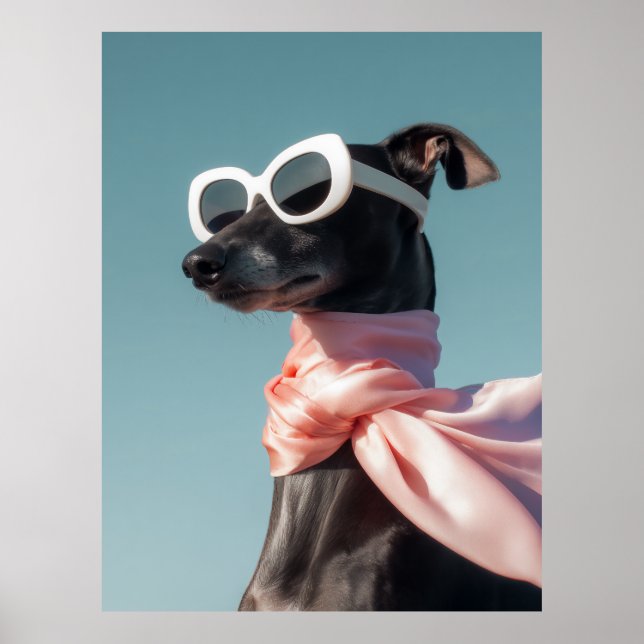 Affiche Chien élégant avec lunettes de soleil écharpe (Devant)