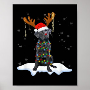 Affiche Chien en pyjama avec lumière de sapin de Noël Labr