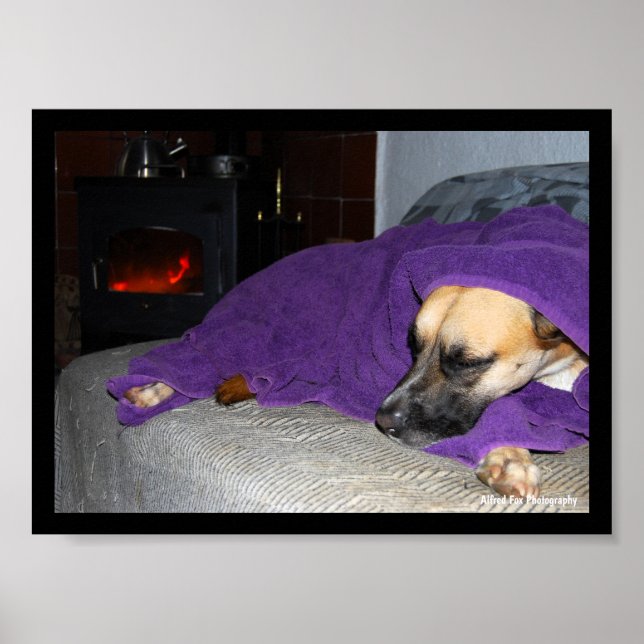 Affiche Chien endormi près de la cheminée (Devant)