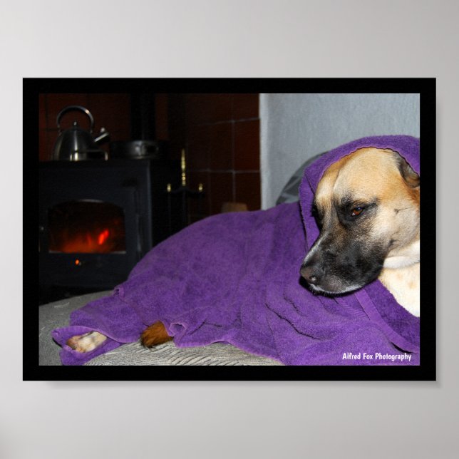 Affiche Chien endormi près de la cheminée (Devant)