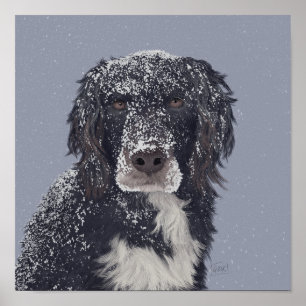 Affiche Chien espagnol mixer portrait animal de compagnie