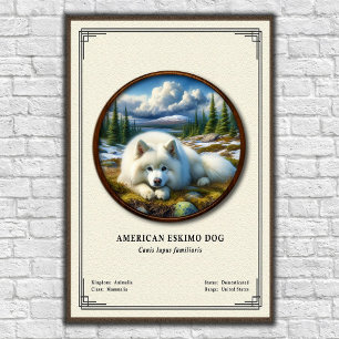 Affiche Chien Esquimau Américain Série de Zoologie
