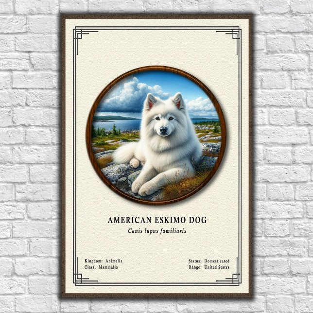 Affiche Chien Esquimau Série de Zoologie (Créateur téléchargé)