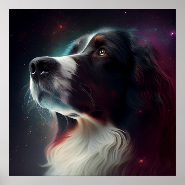 Affiche Chien étoile (Devant)