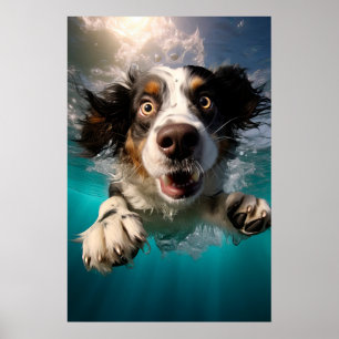 Affiche Chien Excité Nageant Sous L'eau Design
