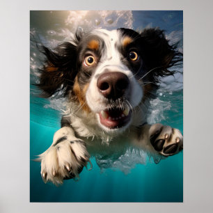 Affiche Chien Excité Nageant Sous L'eau Design