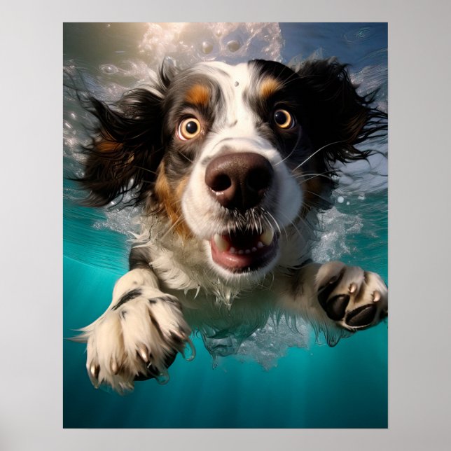 Affiche Chien Excité Nageant Sous L'eau Design (Devant)