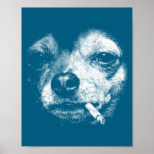 Affiche Chien fumant une cigarette Mème drôle de Chihuahua