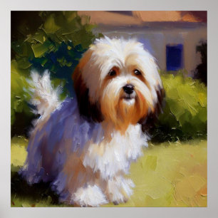 Affiche Chien Havanais