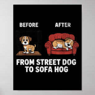 Affiche Chien Hog Chien Adoption Rue Canapé Sauvetage Mème