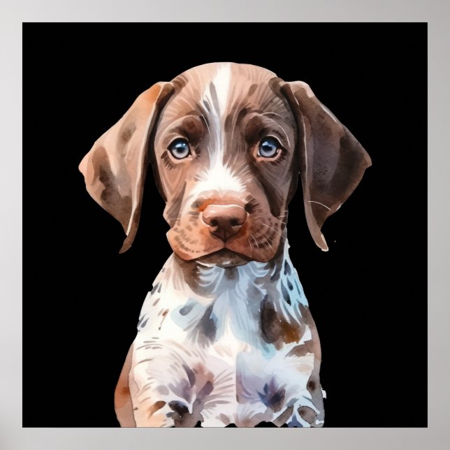 Affiche Chien joli illustré (Devant)