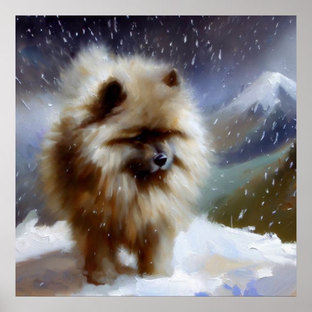 Affiche Chien Keeshond (Devant)