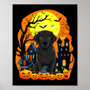 Affiche Chien Labrador Noir Avec Citrouilles Drôle Épouvan