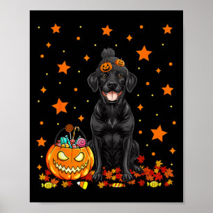 Affiche Chien Labrador Noir Et Bonbon Citrouille Drôle