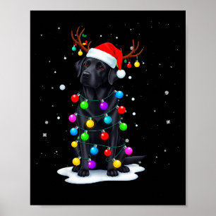 Affiche Chien Labrador Retriever Noir Lumières de Noël Drô