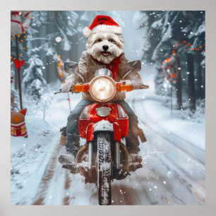 Affiche Chien maltais à moto Noël