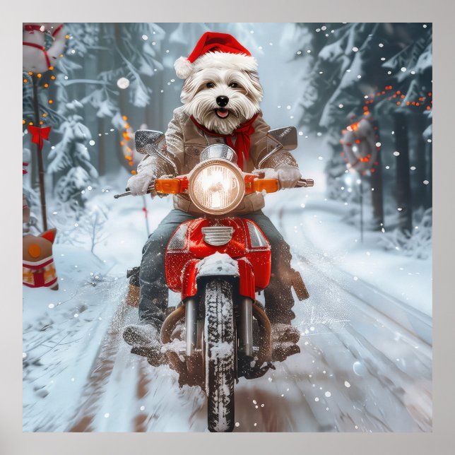 Affiche Chien maltais à moto Noël (Devant)