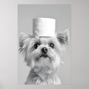 Affiche Chien maltais drôle avec chapeau en papier toilett