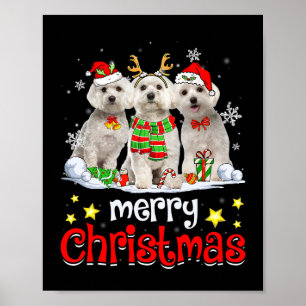 Affiche Chien Maltese Joyeux Noël Mignonne Chien Maltais C
