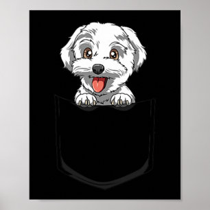 Affiche Chien Maltese Poche Maltese Peeout Pocket Maltese