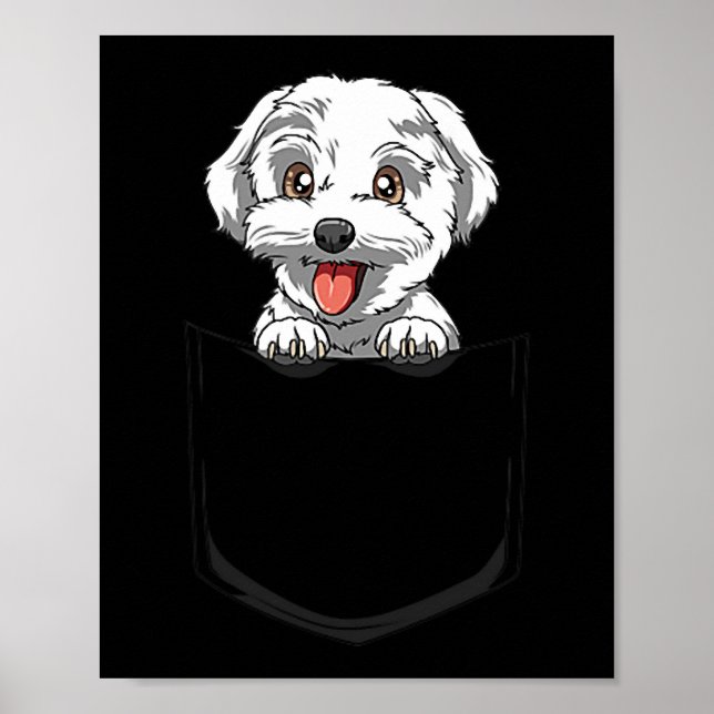 Affiche Chien Maltese Poche Maltese Peeout Pocket Maltese (Devant)