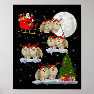 Affiche Chien Mérainien Santa Traîneau Volant Drôle Magiqu