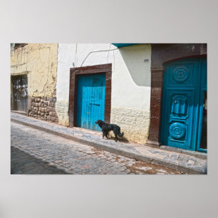 Affiche Chien noir à Cusco, Pérou
