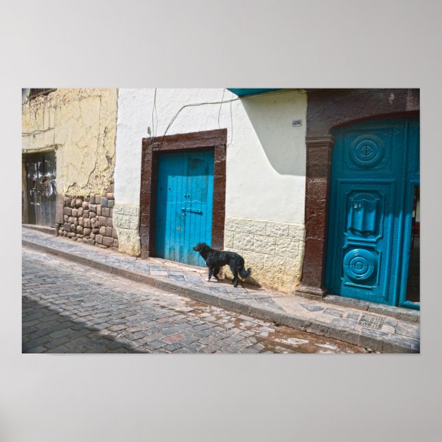 Affiche Chien noir à Cusco, Pérou (Devant)