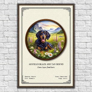 Affiche Chien noir et feu autrichien Série de zoologie