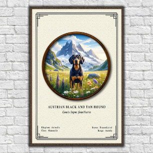 Affiche Chien noir et feu autrichien Série de zoologie