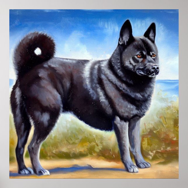 Affiche Chien noir norvégien Elkhound (Devant)