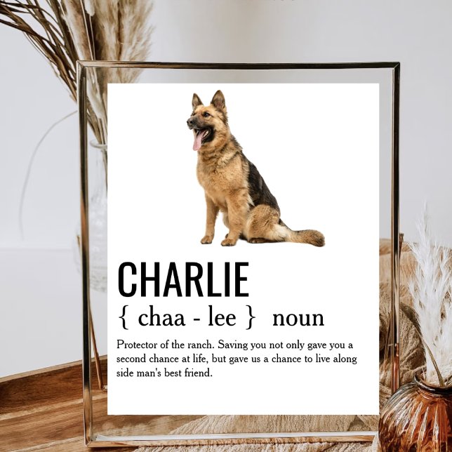 Affiche Chien Noun Définition Chien Maman Papa Propriétair (Créateur téléchargé)