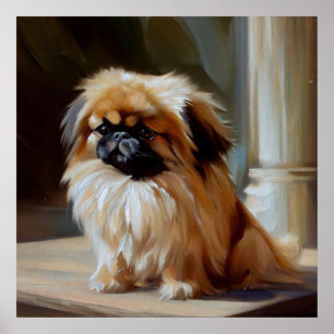 Affiche Chien pekingese