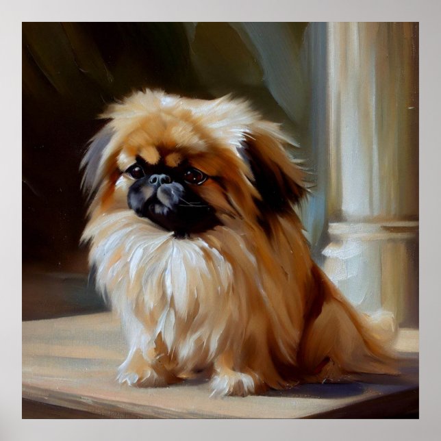 Affiche Chien pekingese (Devant)